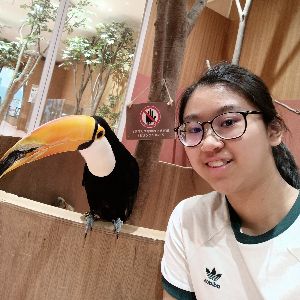 HKTA香港導師會